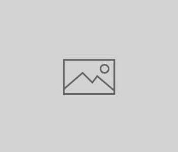 Complete Collection of Business and Career Resources